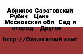 Абрикос Саратовский Рубин › Цена ­ 1 200 - Московская обл. Сад и огород » Другое   